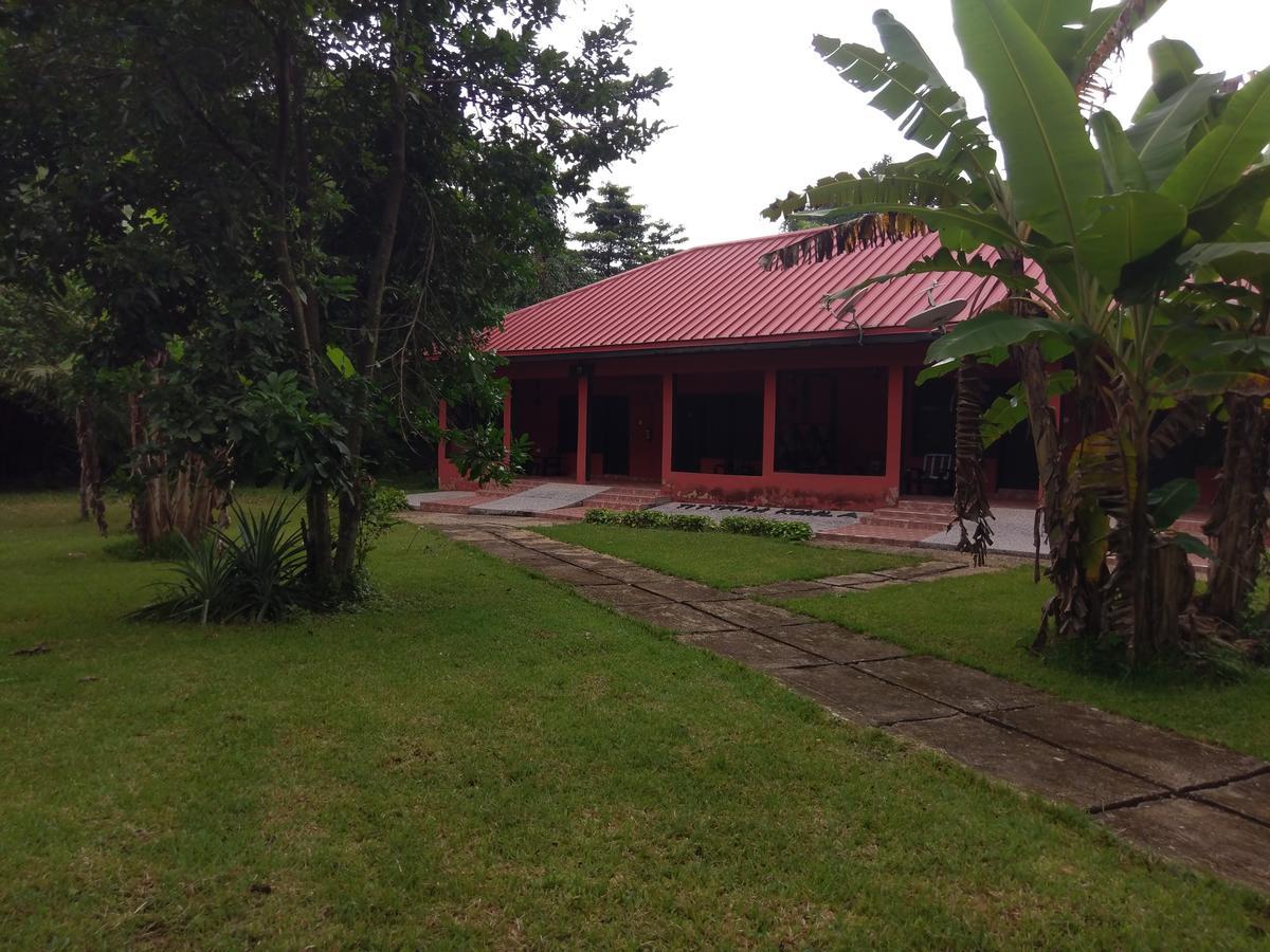 Big Foot Safari Lodge Wli Afegame Екстер'єр фото